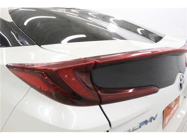 26349662_carP_l_20.jpg