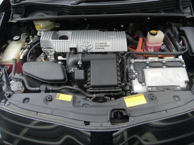 26372874_carP_l_12.jpg