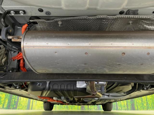 24400675_carP_l_18.jpg