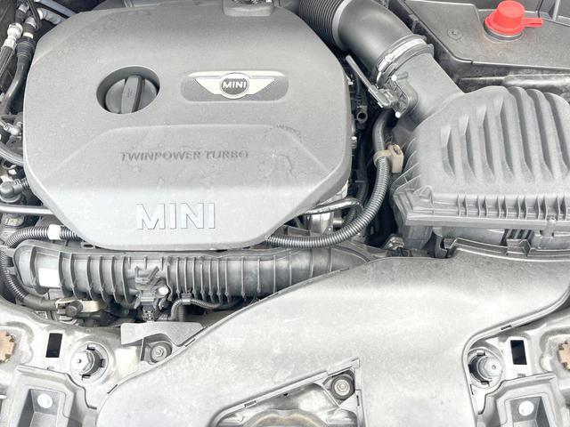 24624982_carP_l_18.jpg