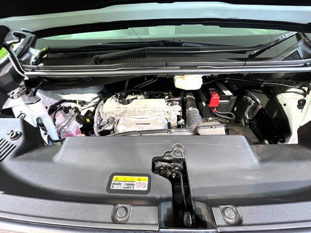 24932469_carP_l_16.jpg