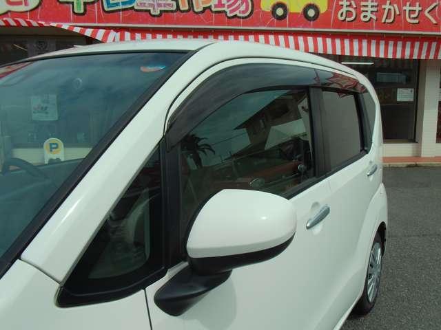 23796877_carP_l_20.jpg