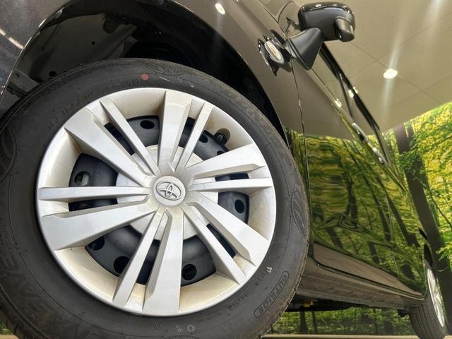 25612369_carP_l_7.jpg