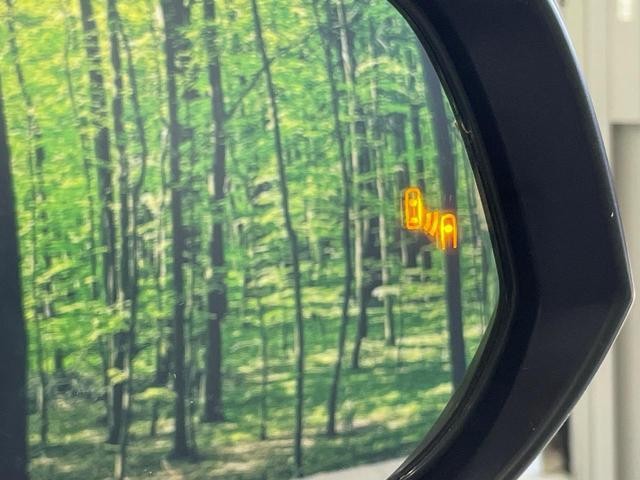 25755039_carP_l_14.jpg