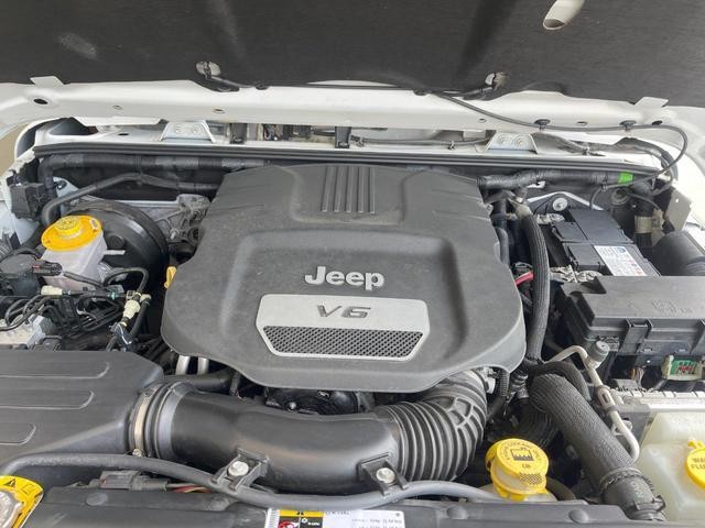 25611712_carP_l_12.jpg