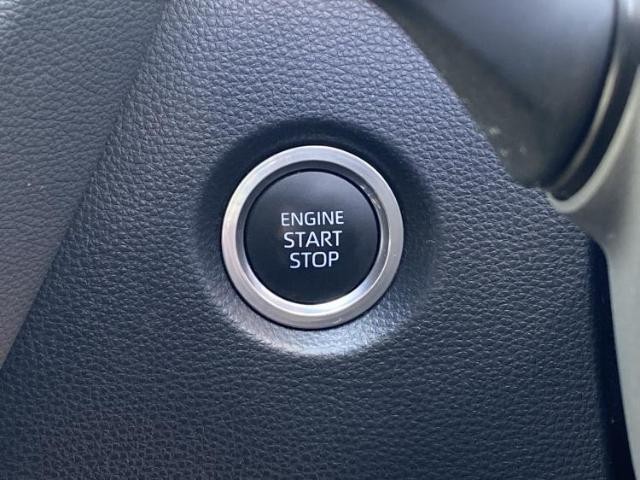 25909123_carP_l_16.jpg