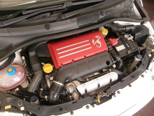 24541269_carP_l_15.jpg