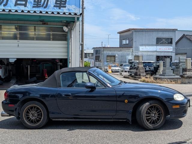 25263825_carP_l_4.jpg