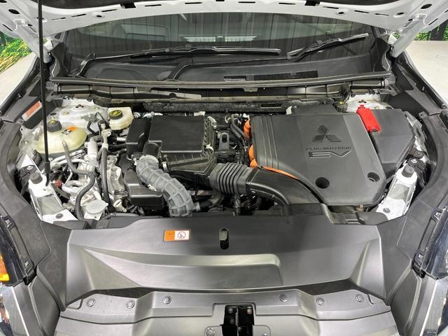 25754851_carP_l_16.jpg