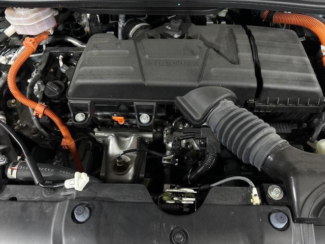 26469089_carP_l_16.jpg