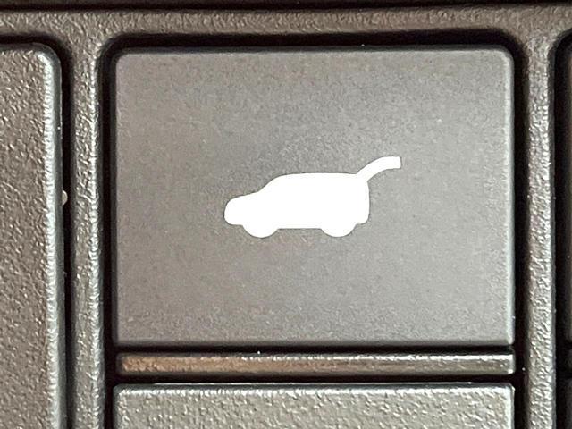 24625278_carP_l_14.jpg
