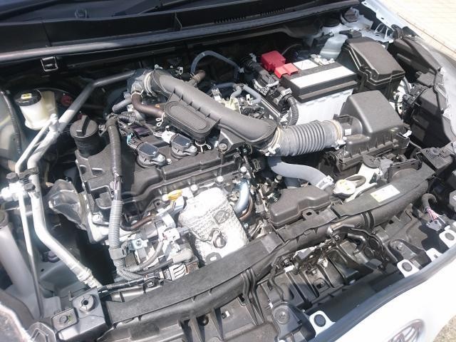 25963781_carP_l_17.jpg
