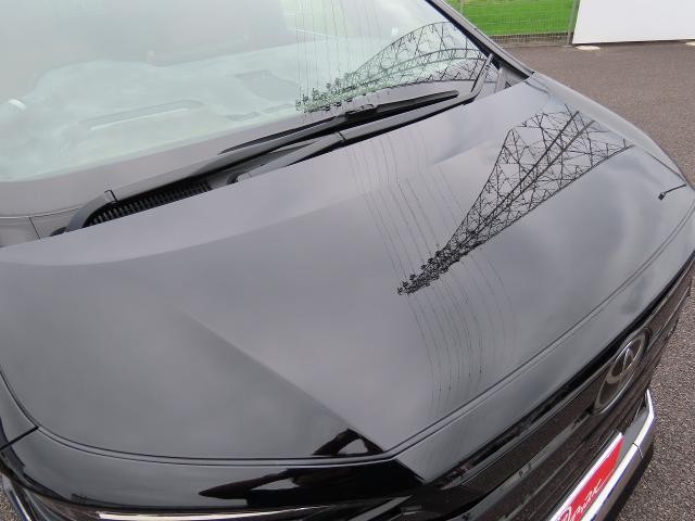 25304106_carP_l_8.jpg