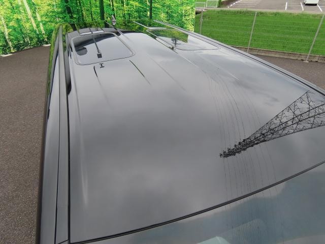 25304106_carP_l_9.jpg