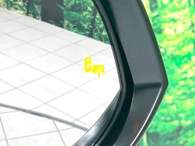 25885276_carP_l_14.jpg