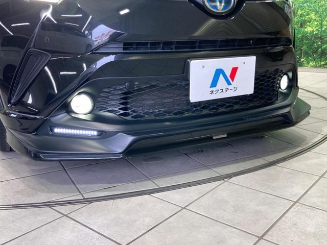24625507_carP_l_10.jpg