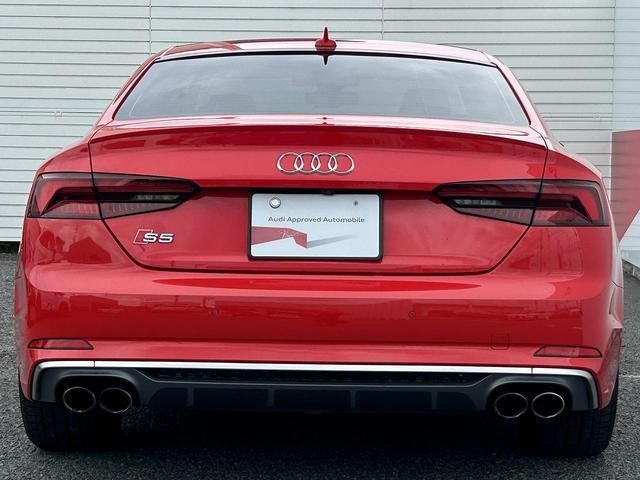 26246520_carP_l_18.jpg