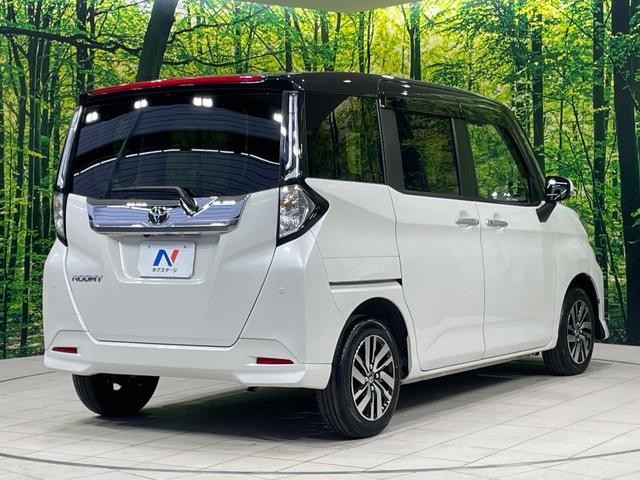 26557770_carP_l_12.jpg