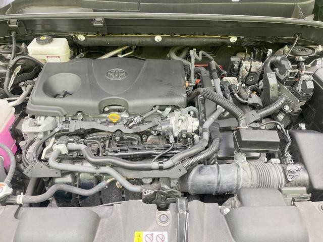 25506907_carP_l_16.jpg