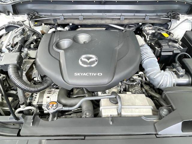 24913006_carP_l_11.jpg