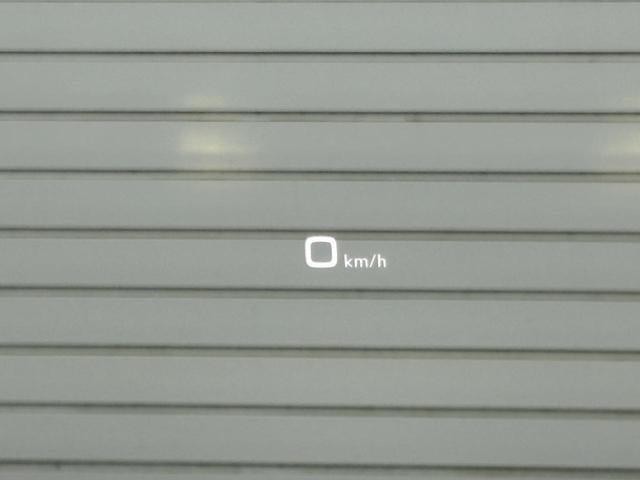 26246521_carP_l_10.jpg
