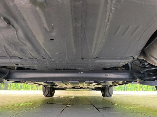 25754300_carP_l_20.jpg