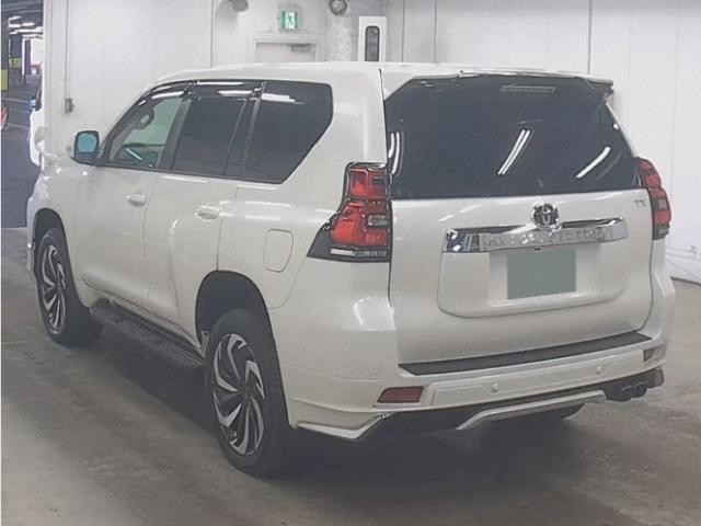 26563086_carP_l_10.jpg