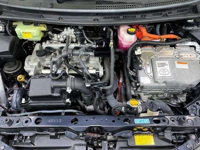 25612456_carP_l_16.jpg