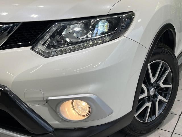 25507052_carP_l_6.jpg