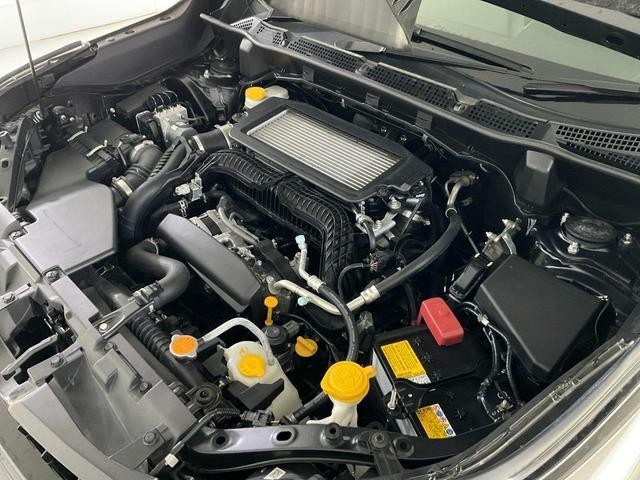 25545184_carP_l_9.jpg