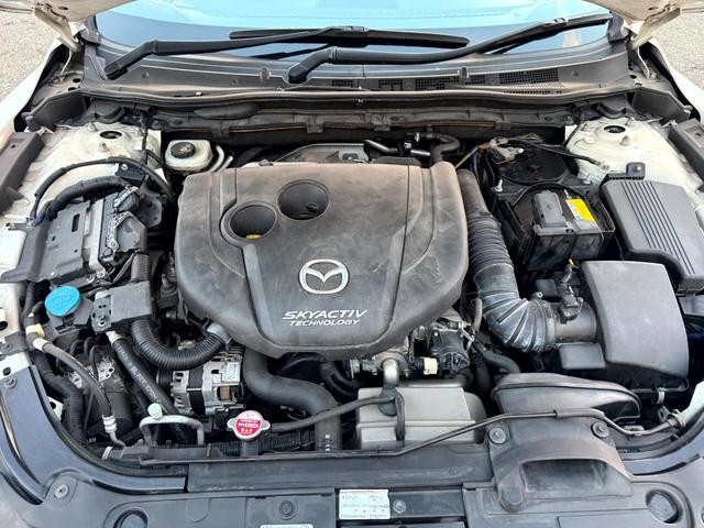 0221363A30260922W00315.jpg