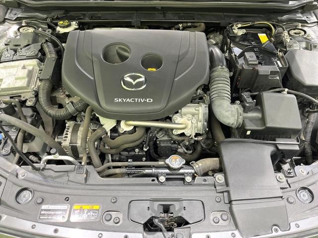 26751358_carP_l_16.jpg