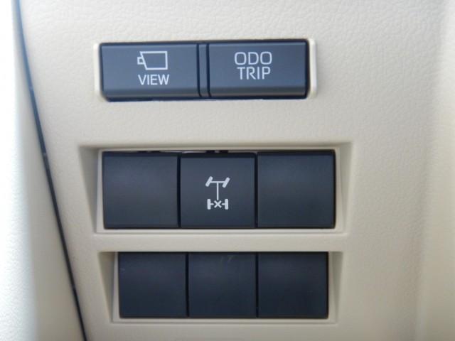 24280917_carP_l_18.jpg