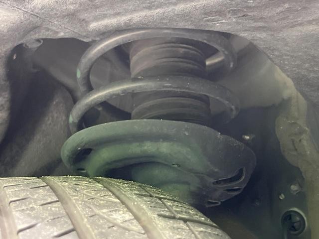 26403039_carP_l_20.jpg