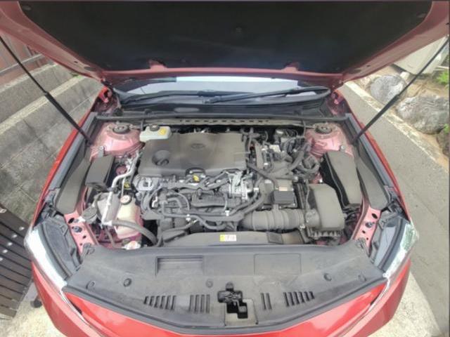 24520927_carP_l_16.jpg