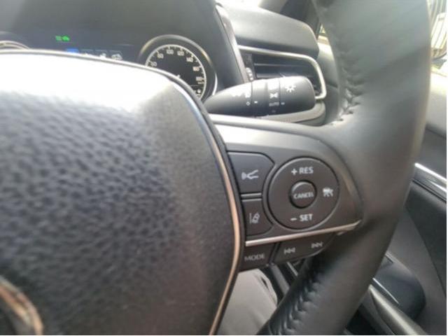 24520927_carP_l_19.jpg