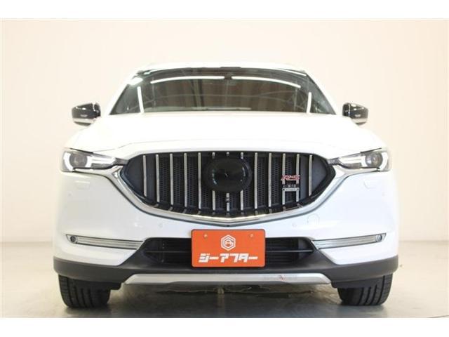 24126091_carP_l_14.jpg