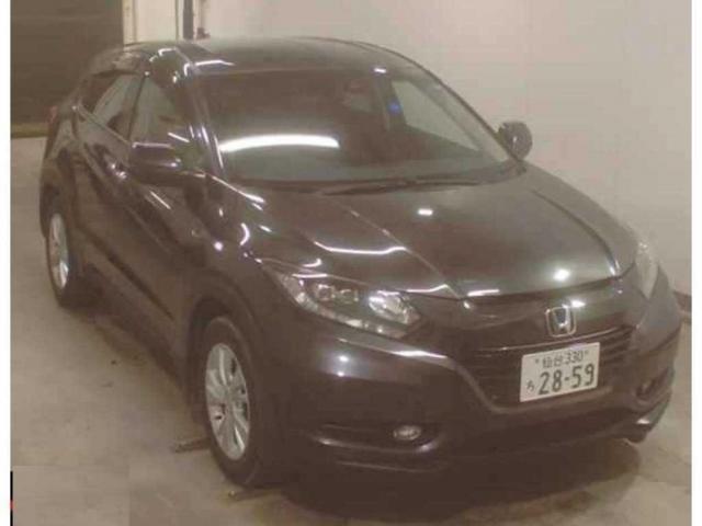 24244817_carP_l_1.jpg