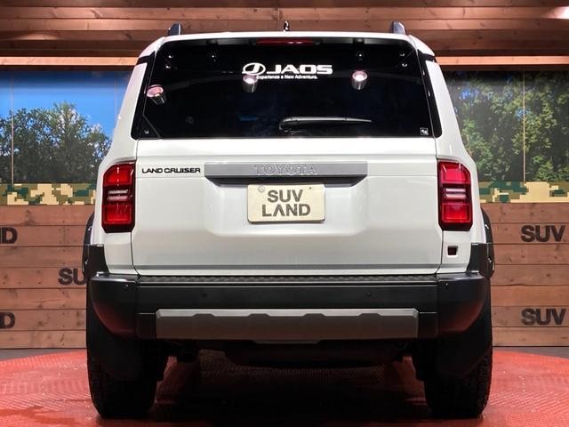 26379332_carP_l_8.jpg