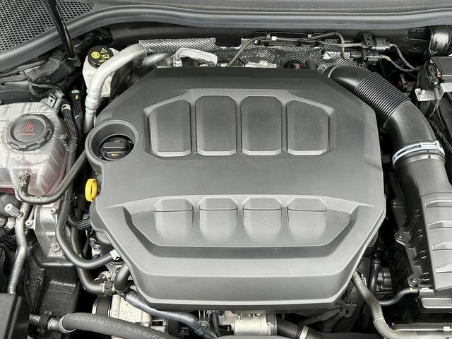 26246524_carP_l_12.jpg