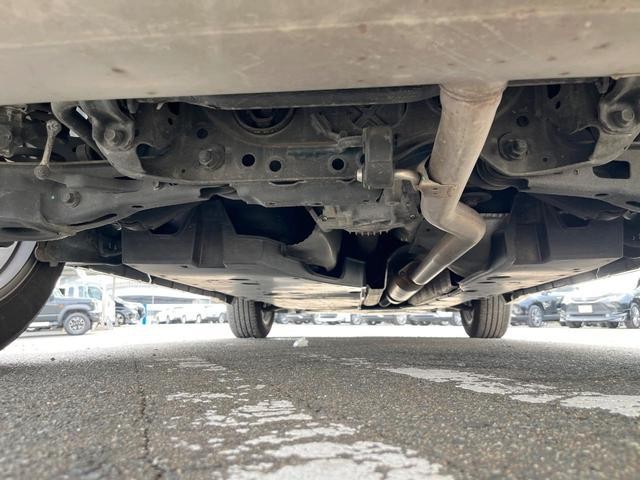 25754351_carP_l_18.jpg