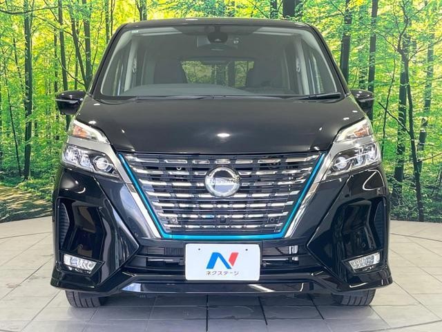 26084206_carP_l_9.jpg