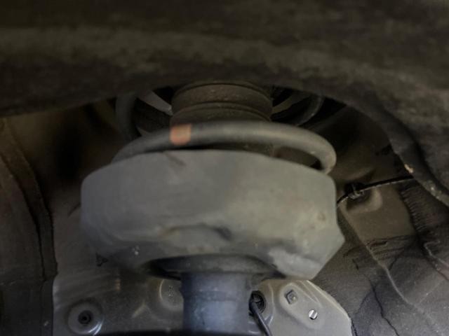 26251255_carP_l_20.jpg
