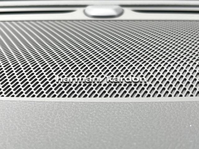 26379585_carP_l_13.jpg