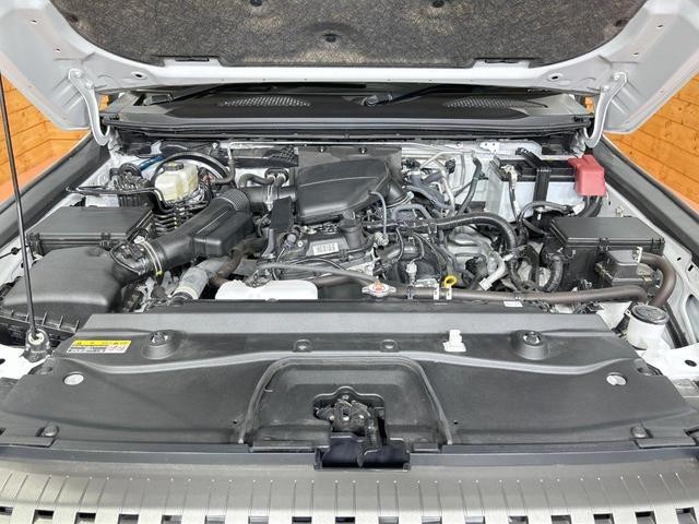 25096944_carP_l_18.jpg