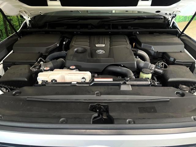 25632476_carP_l_20.jpg