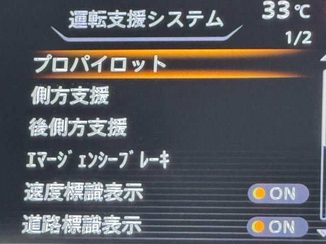 25304164_carP_l_12.jpg