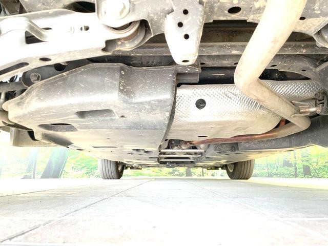 25755088_carP_l_18.jpg