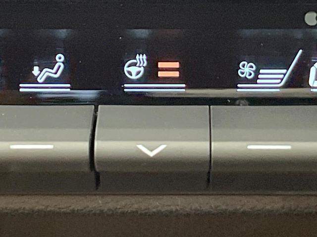 24912442_carP_l_10.jpg
