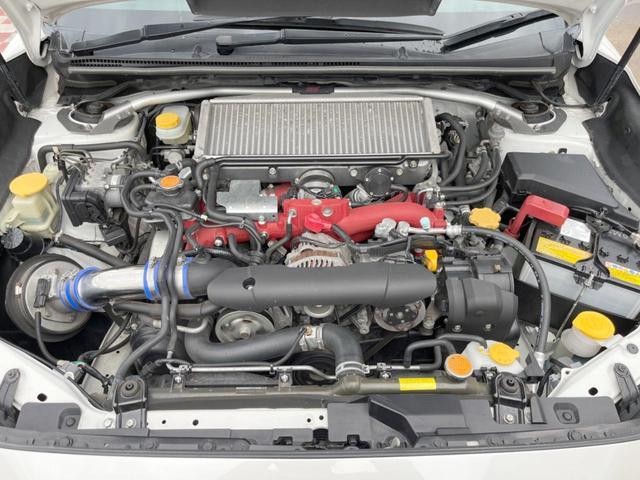 26251344_carP_l_16.jpg